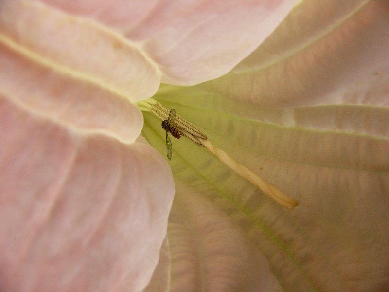 p1010154.jpg
