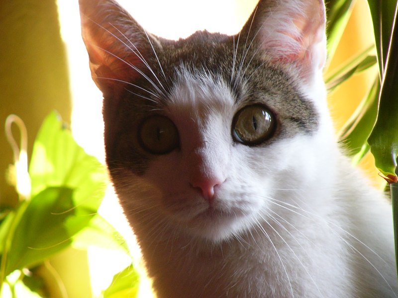 p1020009.jpg