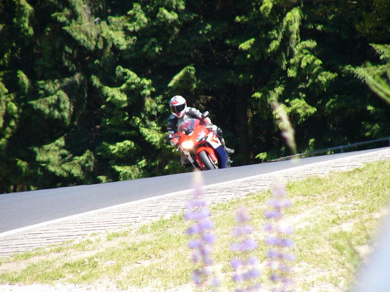 p1020384.jpg