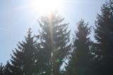 img_8570.jpg